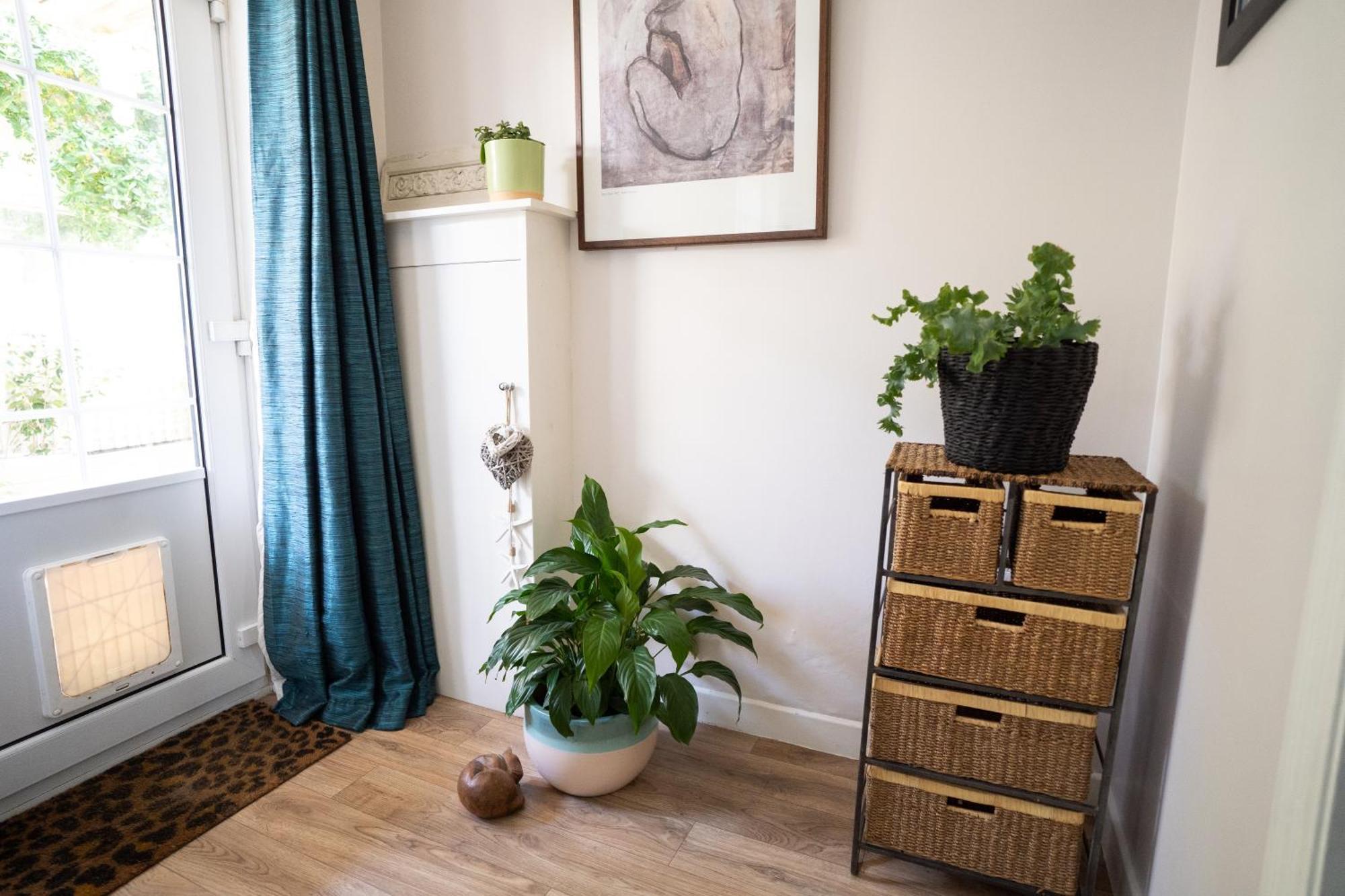 Driftwood By The Sea Appartement Hove Buitenkant foto